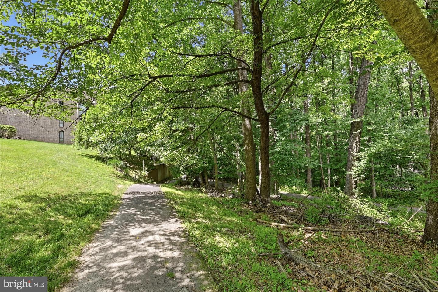 11533 Pine Cone Court photo 37