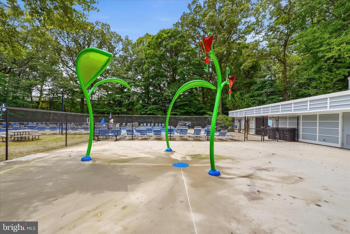 11533 Pine Cone Court photo 40