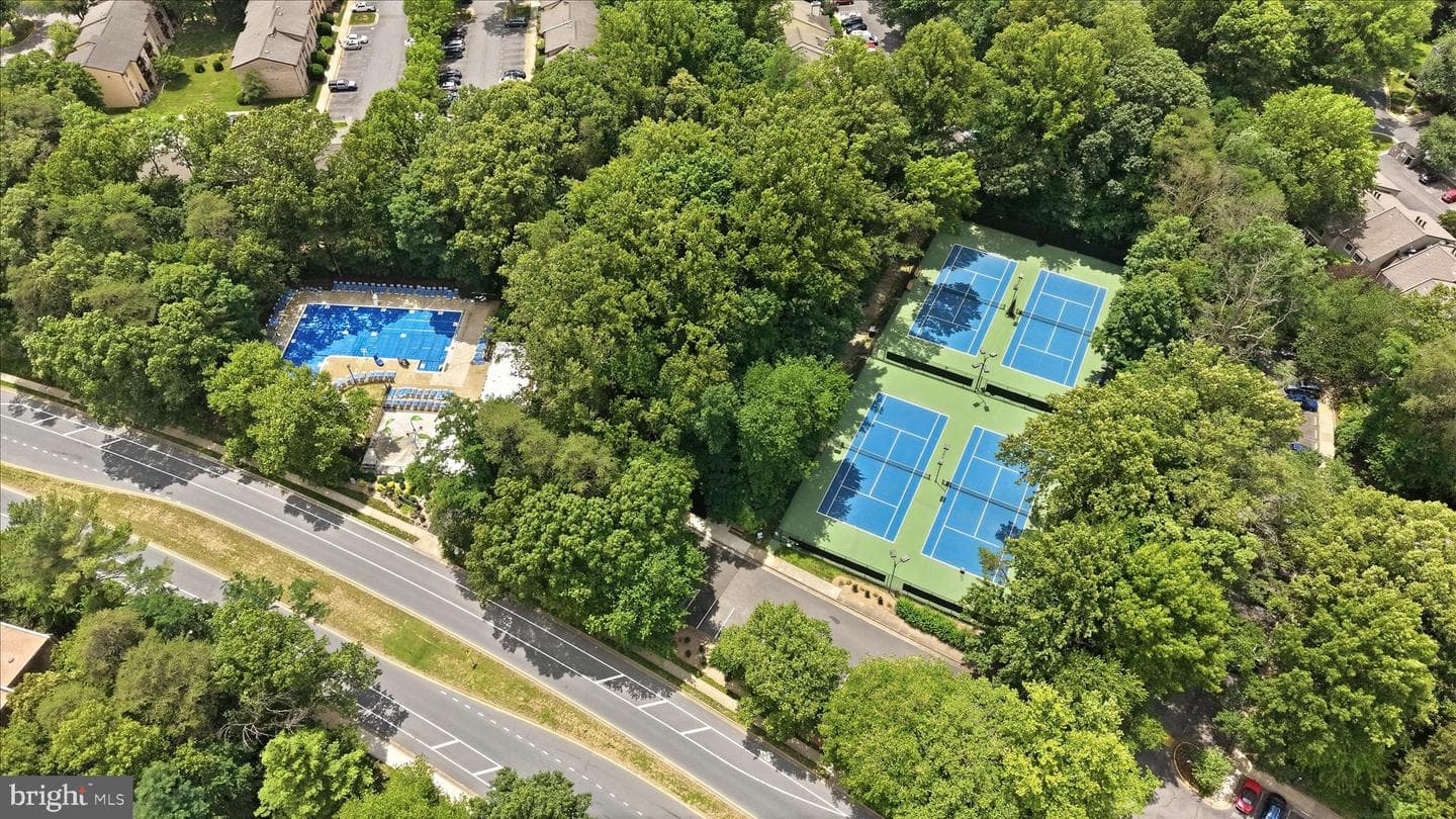 11533 Pine Cone Court photo 42