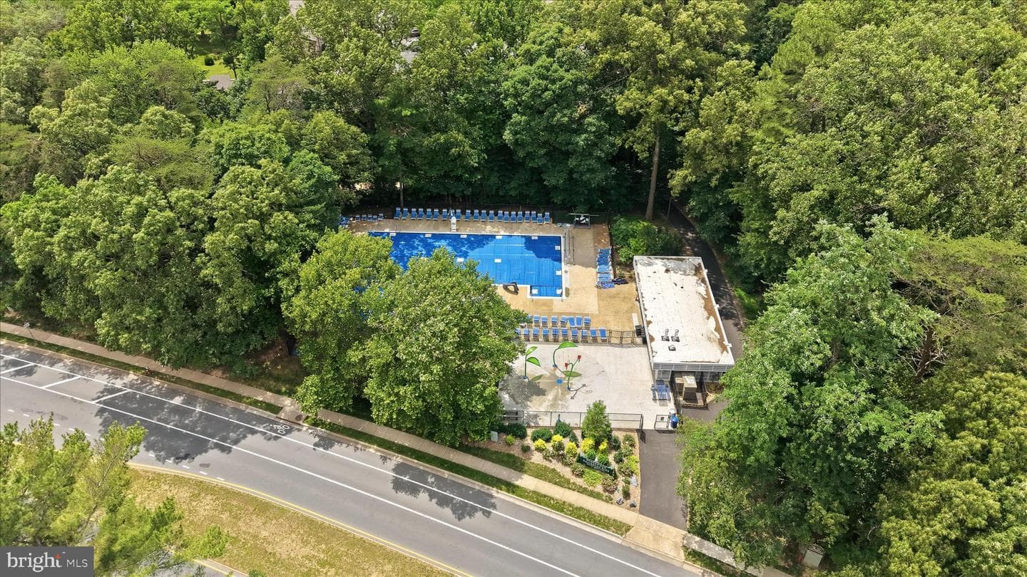 11533 Pine Cone Court photo 43