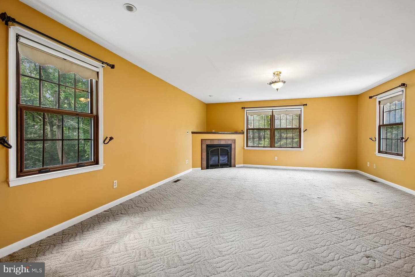 7871 Godolphin Drive photo 47