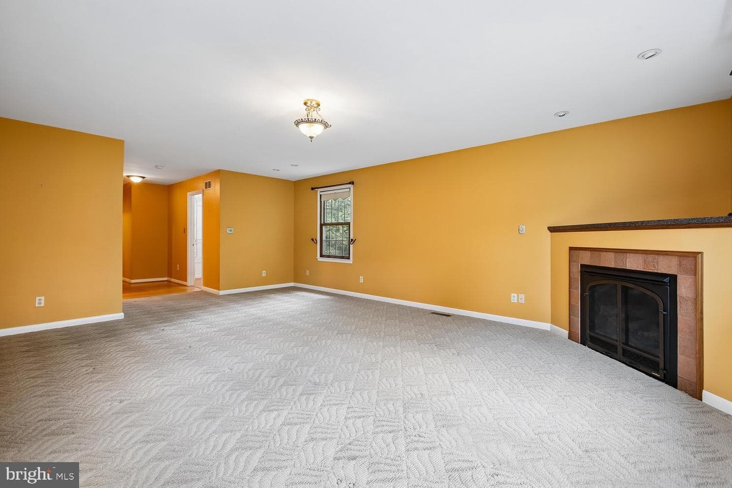7871 Godolphin Drive photo 50