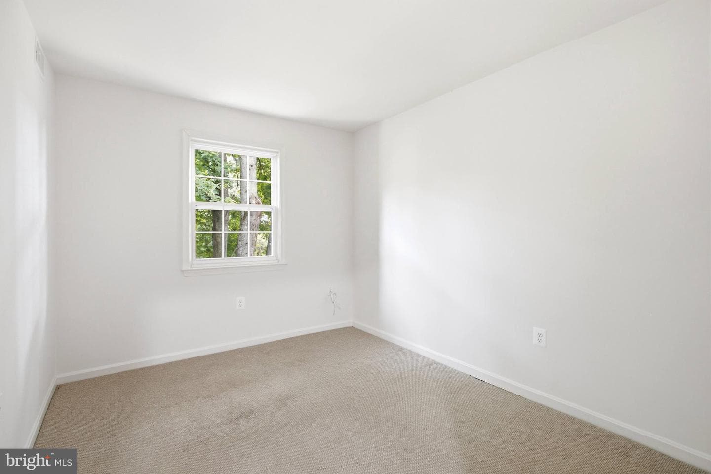 4527 Airlie Way photo 24