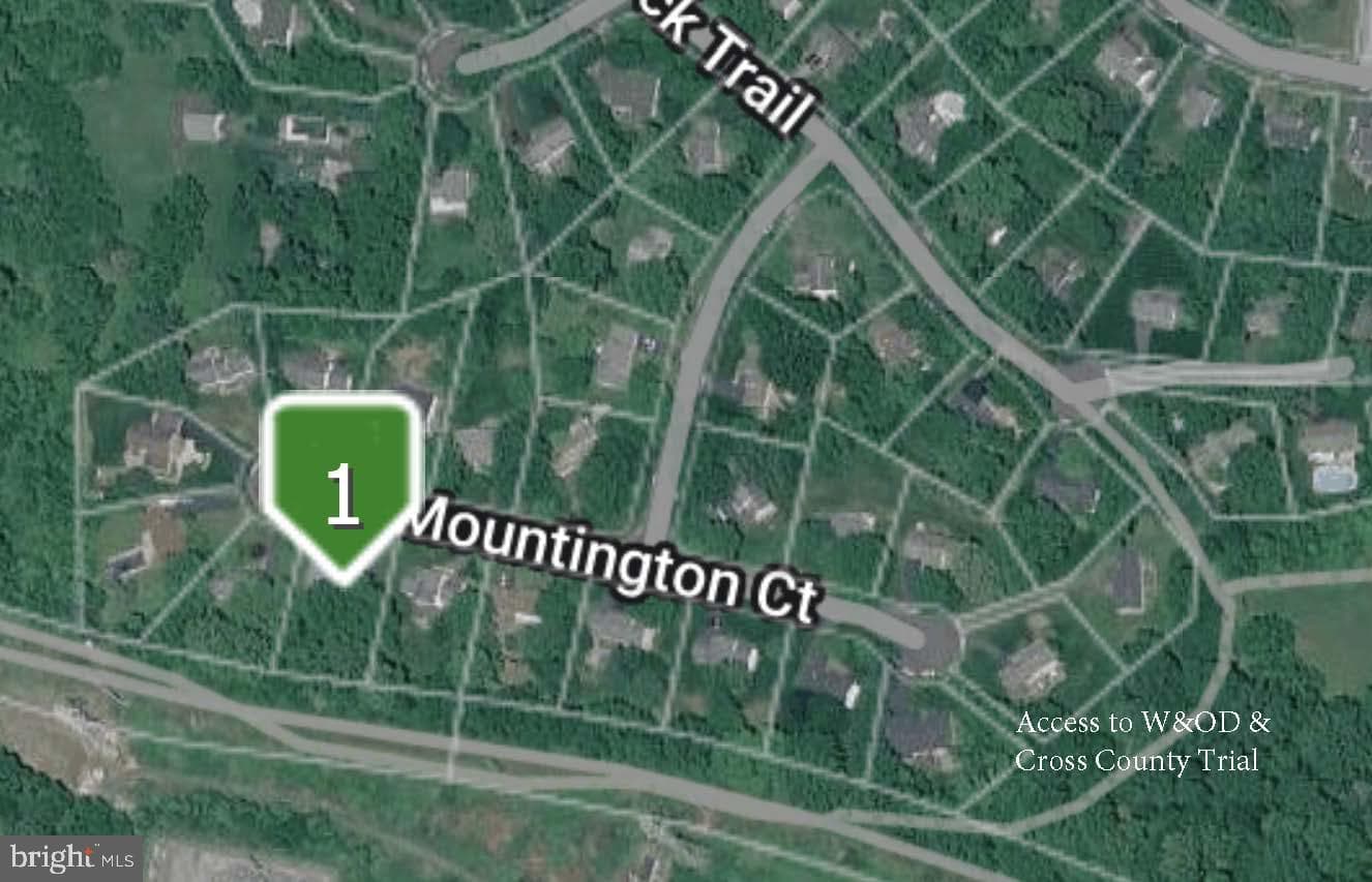 10315 Mountington Court photo 64