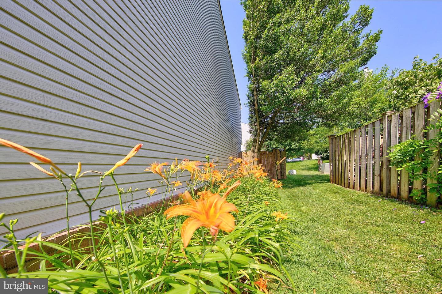 6576 Medinah Lane photo 37