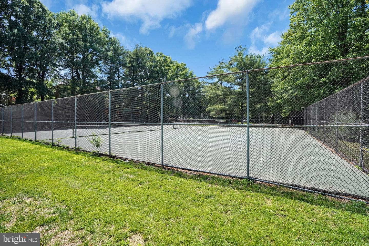 12300 Quiet Hollow Court photo 36
