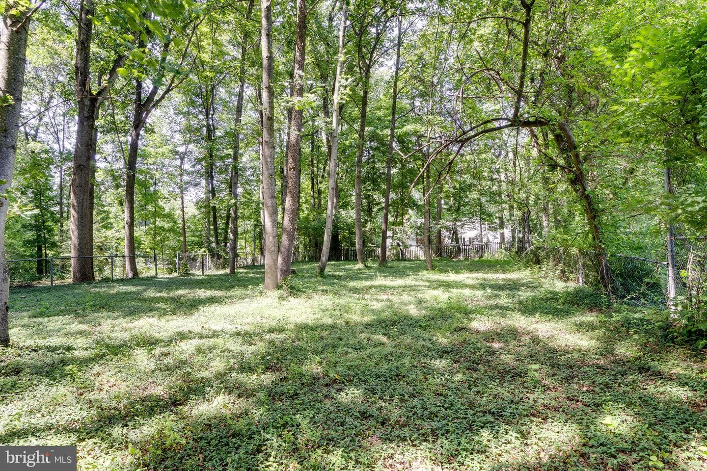 10236 Lawyers Road photo 46