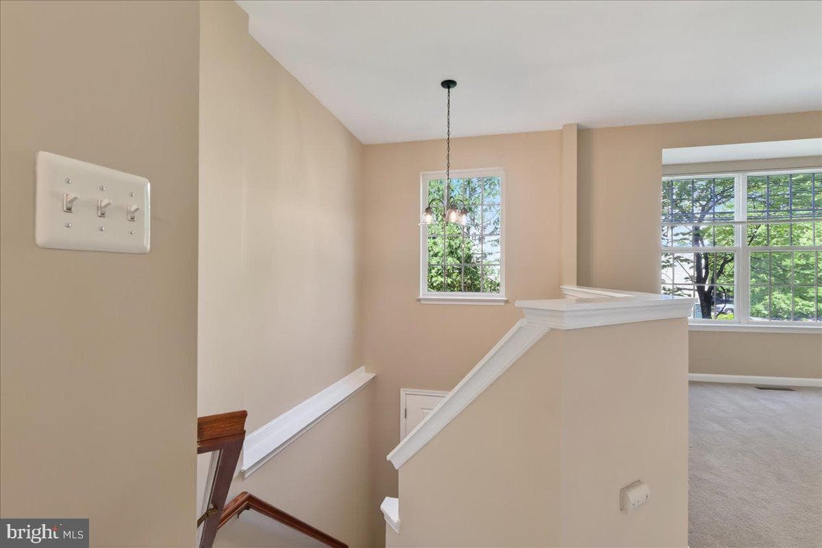 8506 Hallie Rose Place photo 4