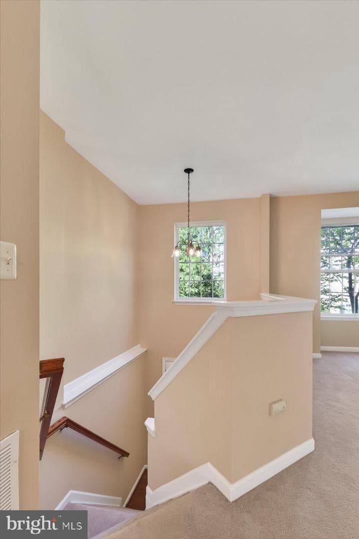8506 Hallie Rose Place photo 9