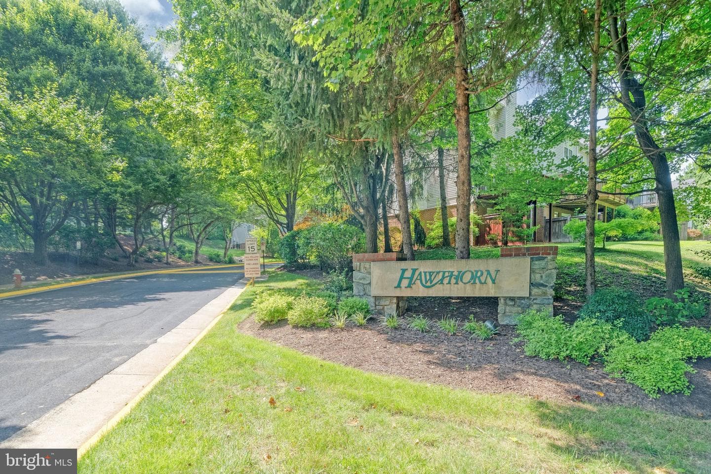1212 Wild Hawthorn Way photo 53