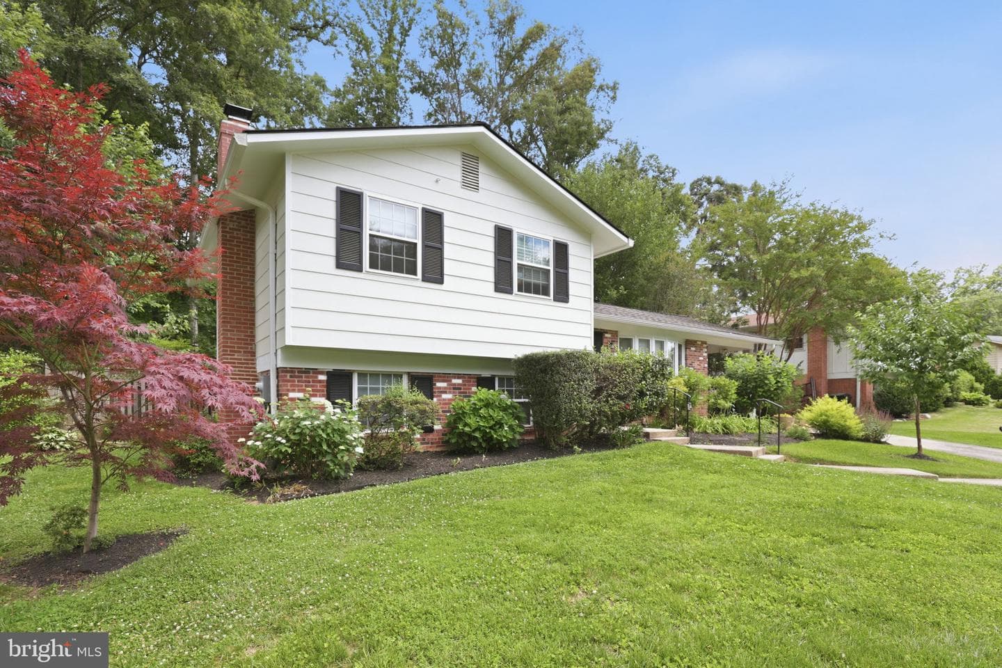 10926 Roma Street photo 3