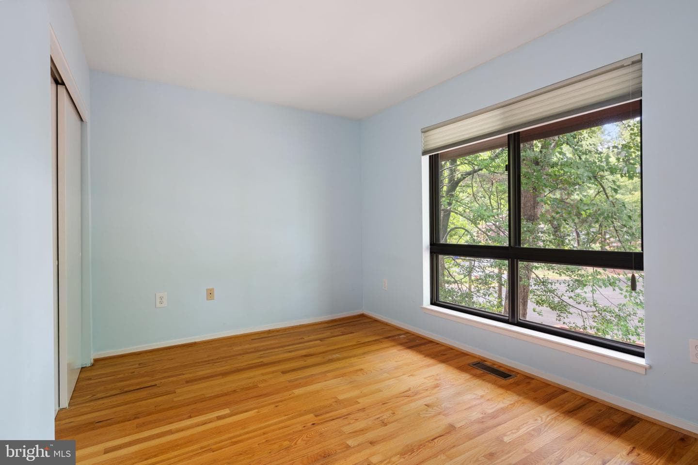 11733 Indian Ridge Road photo 22