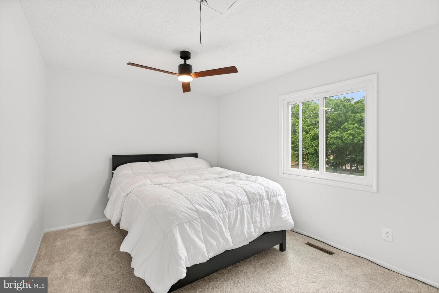 301 Reneau Way photo 23