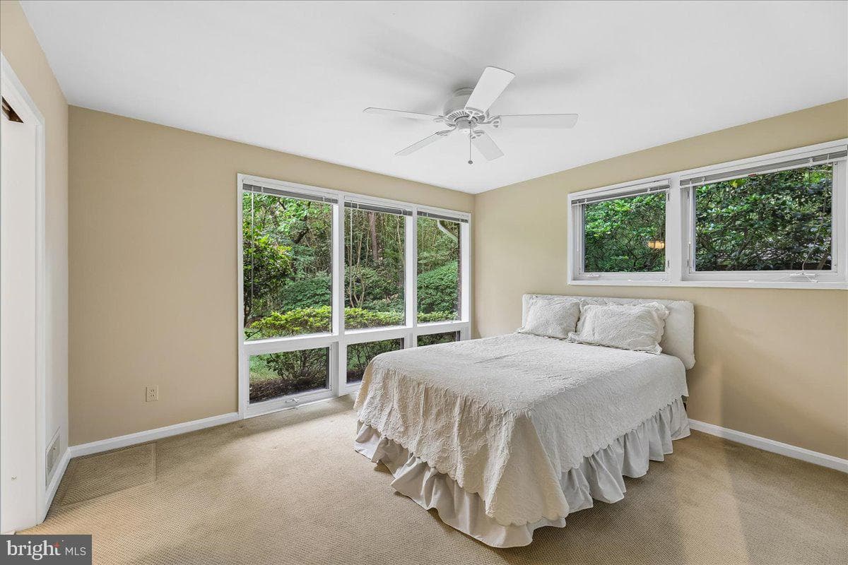 3609 Pinetree Terrace photo 25