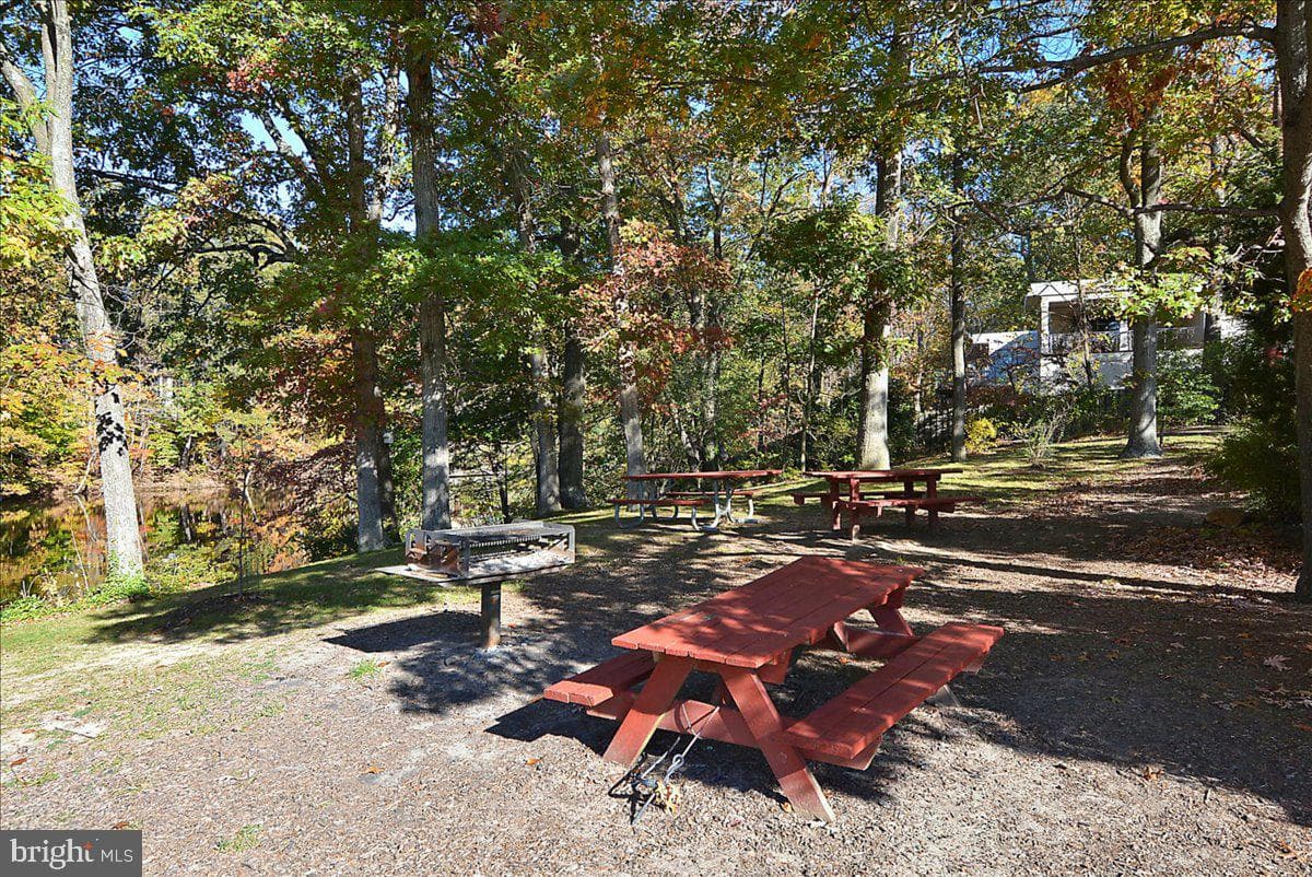 3609 Pinetree Terrace photo 44