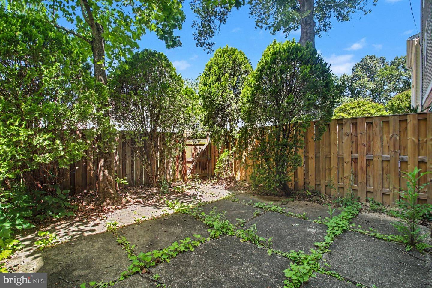 7718 Trevino Ln photo 25
