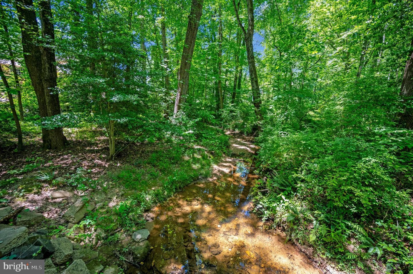 4611 Tapestry Drive photo 40