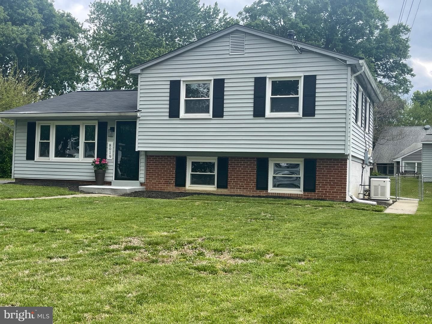 8019 Beckner Court photo 67