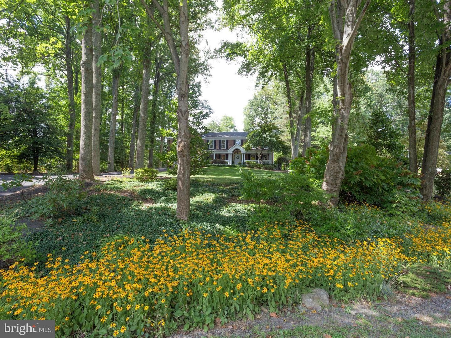 3416 Tilton Valley Drive photo 66