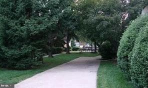 3824 Persimmon Cir photo 4
