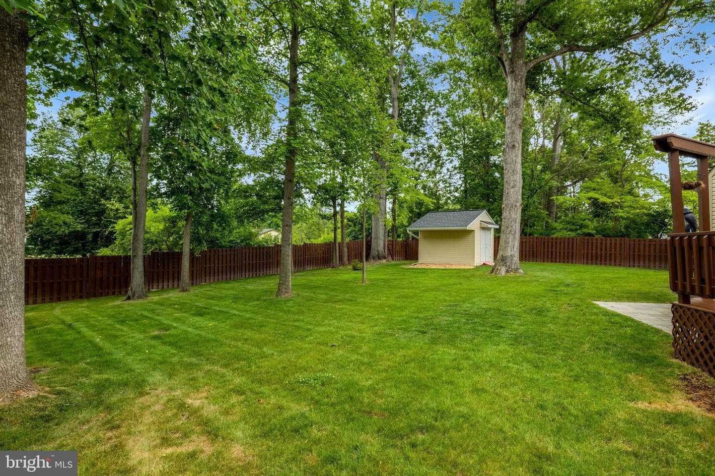 10800 Steven Lee Court photo 20