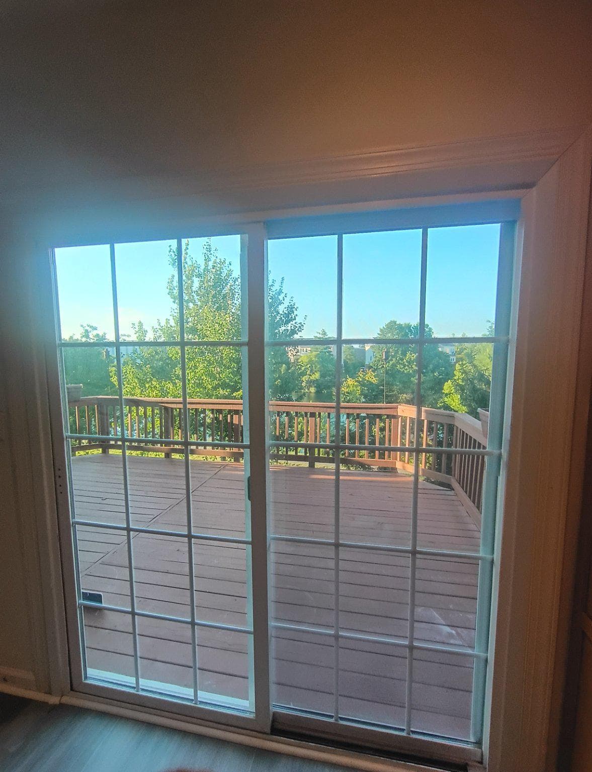13554 Lavender Mist Lane photo 8