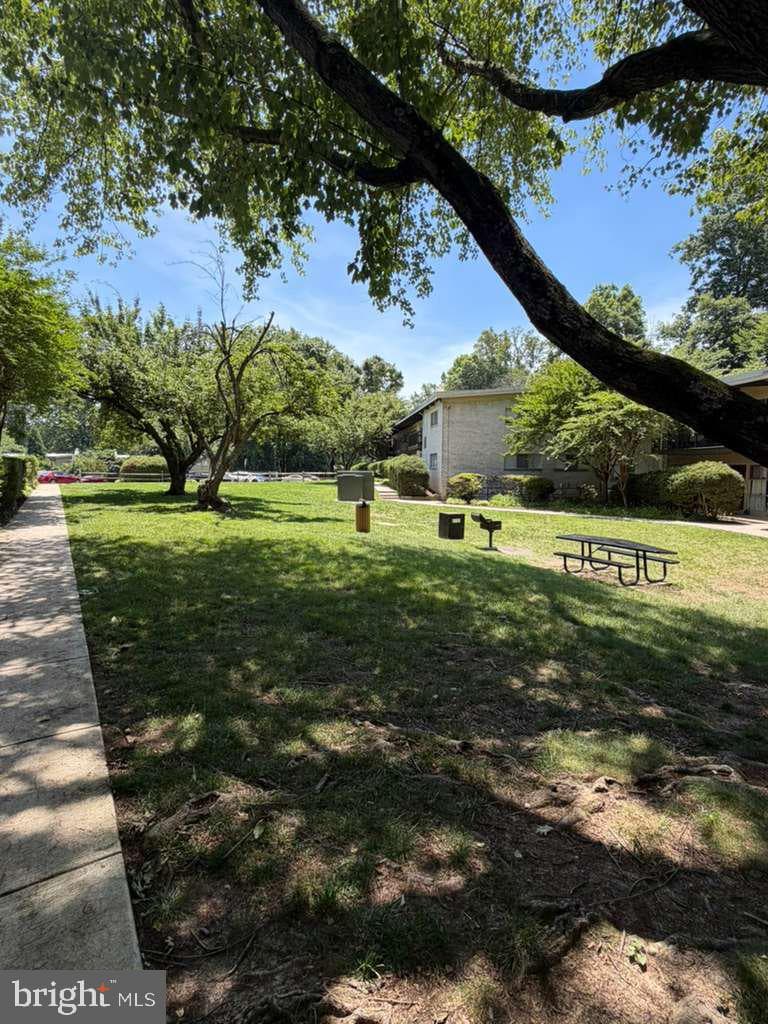 4941 Americana Drive #109 photo 25