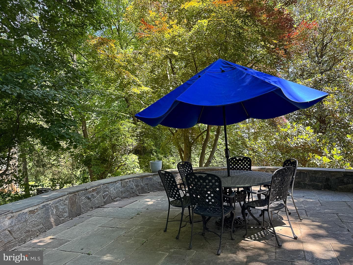 710 Live Oak Drive photo 65