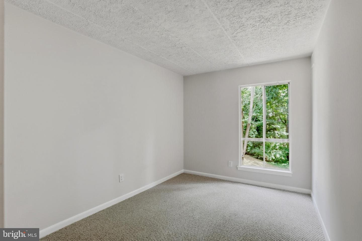 2313 Freetown Court #20/11c photo 14