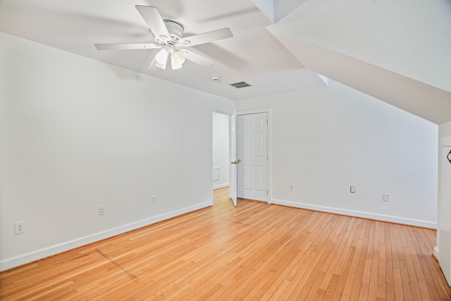 7712 Dolly Drive photo 38