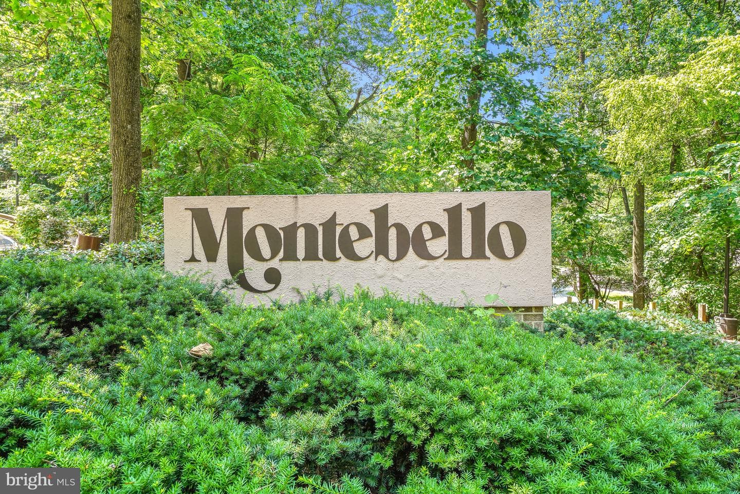 5902 Mount Eagle Drive #316 photo 48