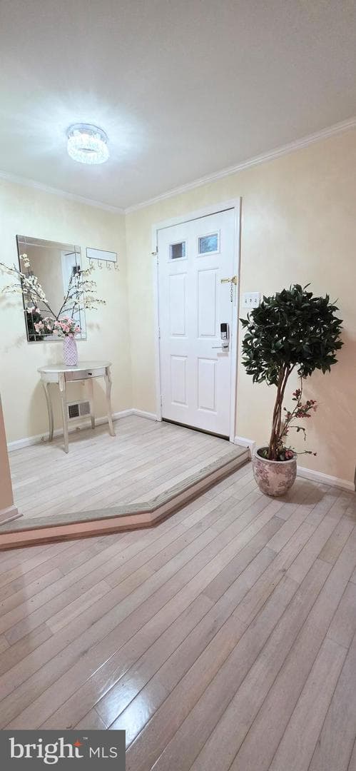 8434 Springfield Oaks Drive, Springfield