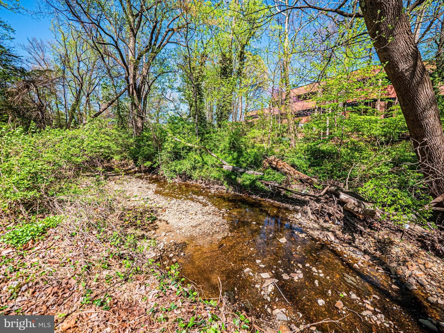 2923 Fairhill Road photo 59