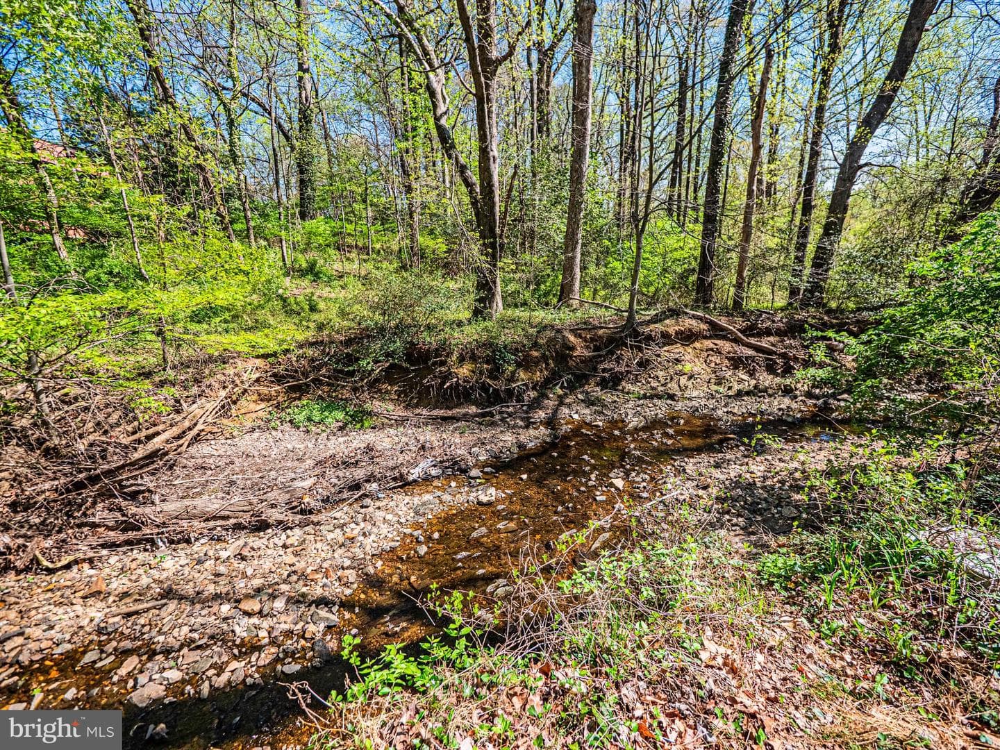 2923 Fairhill Road photo 60