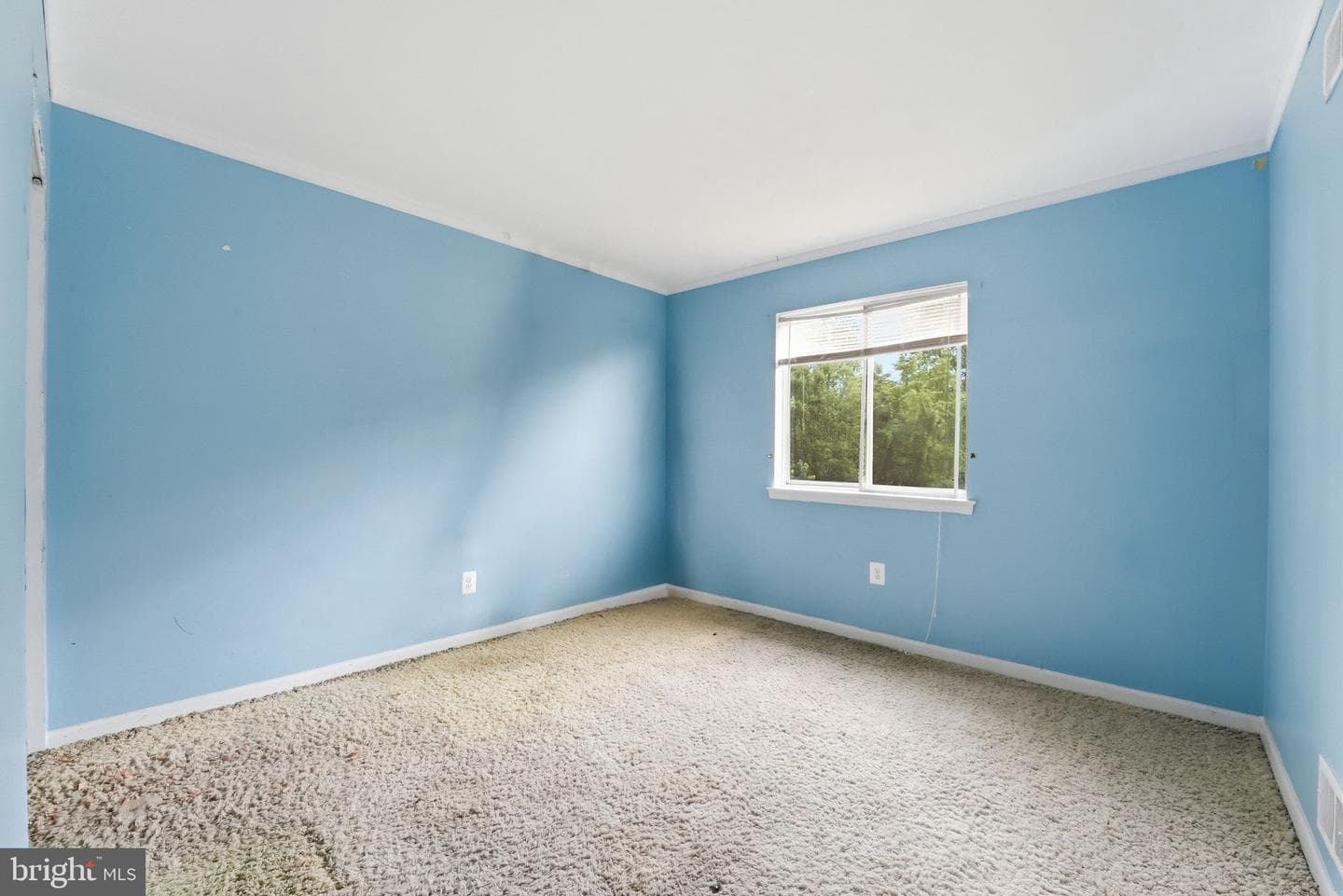 6125 Lundy Place photo 26