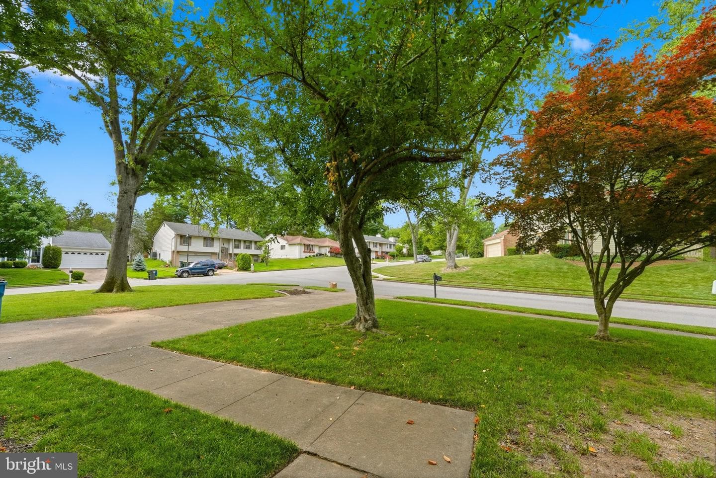 6125 Lundy Place photo 38