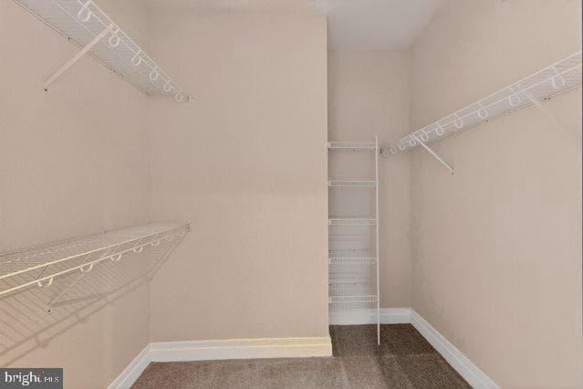 8220 Crestwood Heights Drive #1410 photo 20