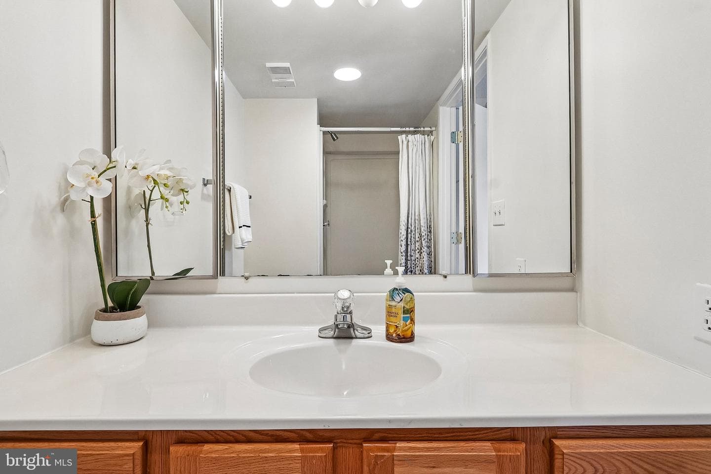 5901 Mount Eagle Drive #409 photo 19