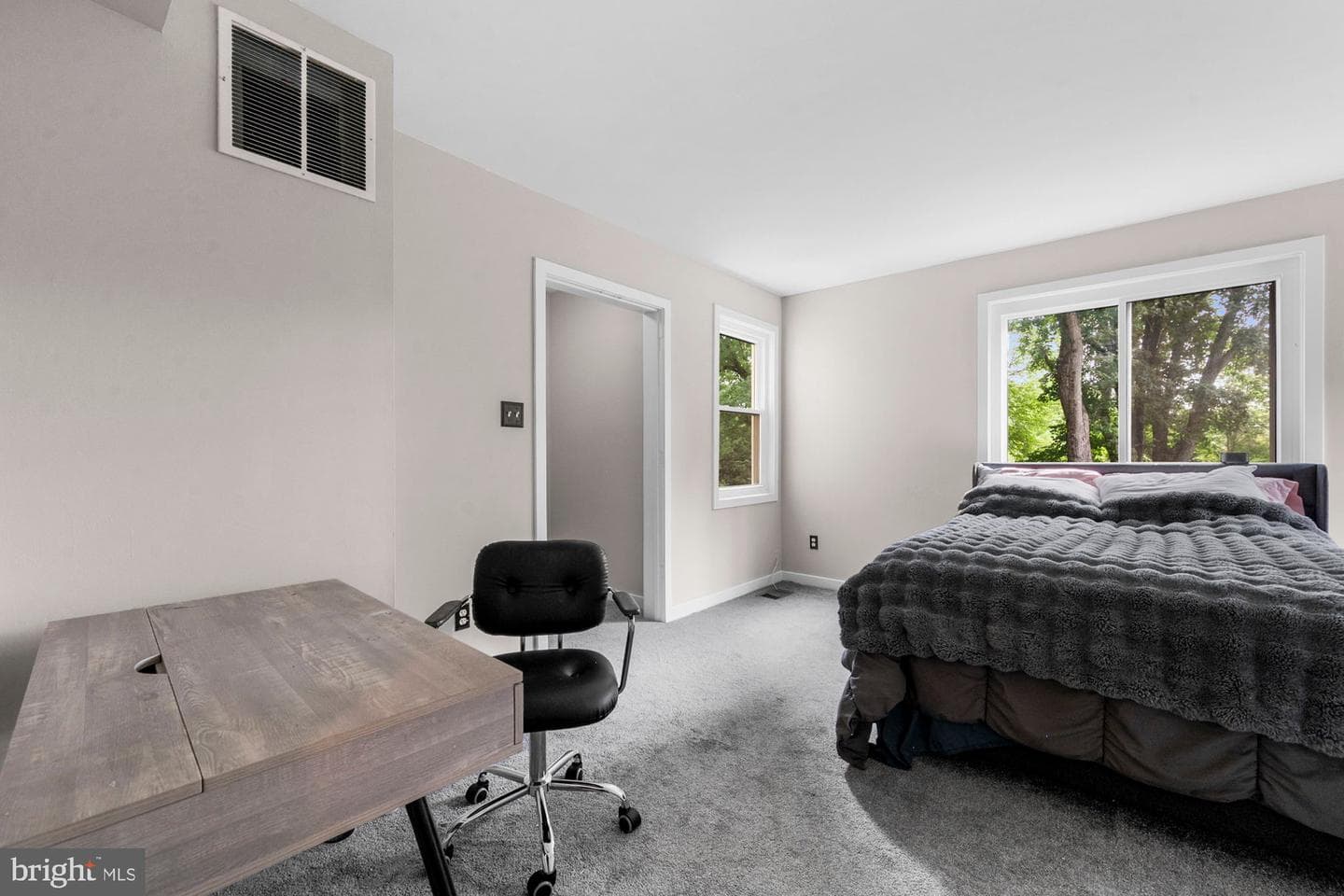 1316 Alps Drive photo 49
