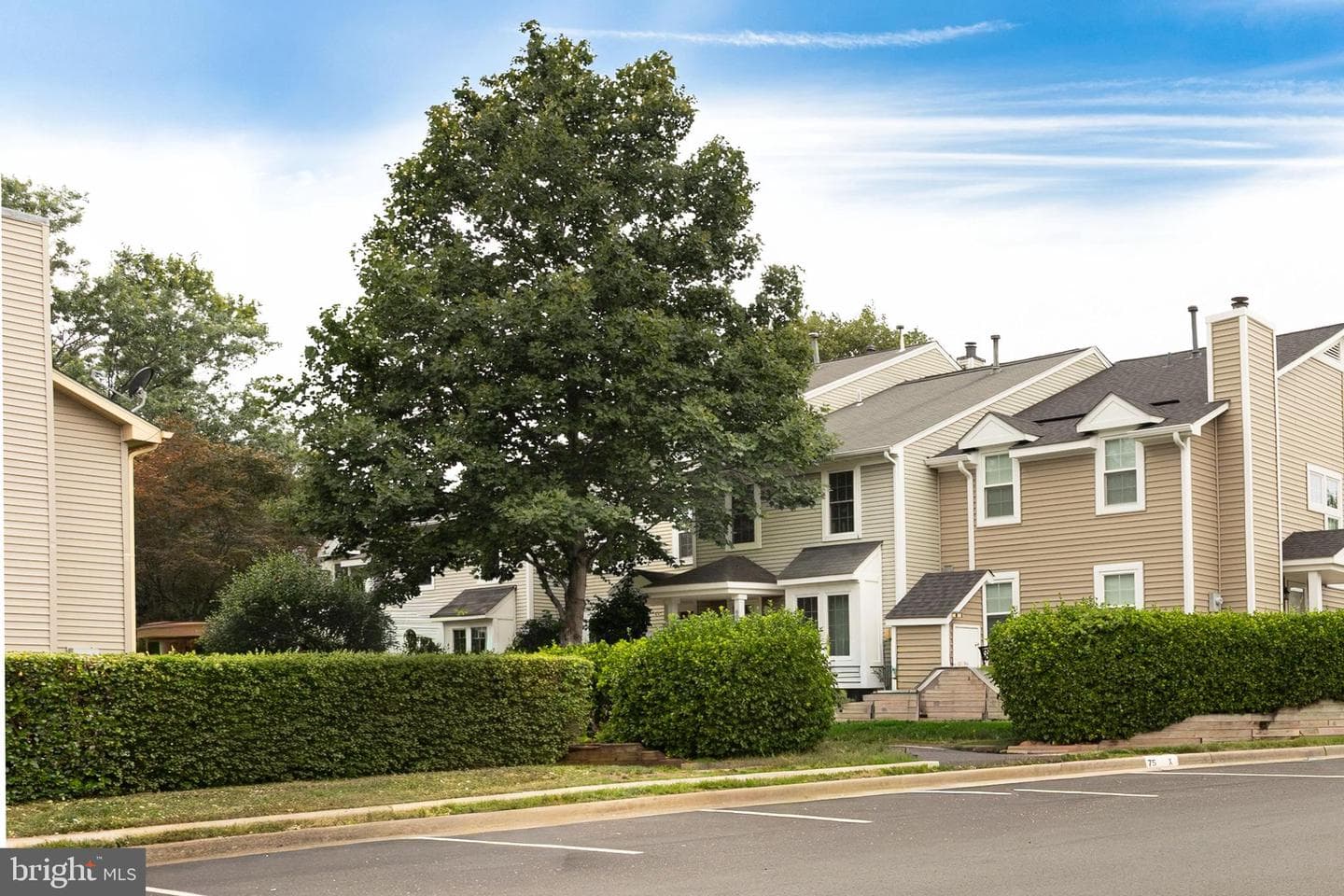 6034 Netherton Street photo 28