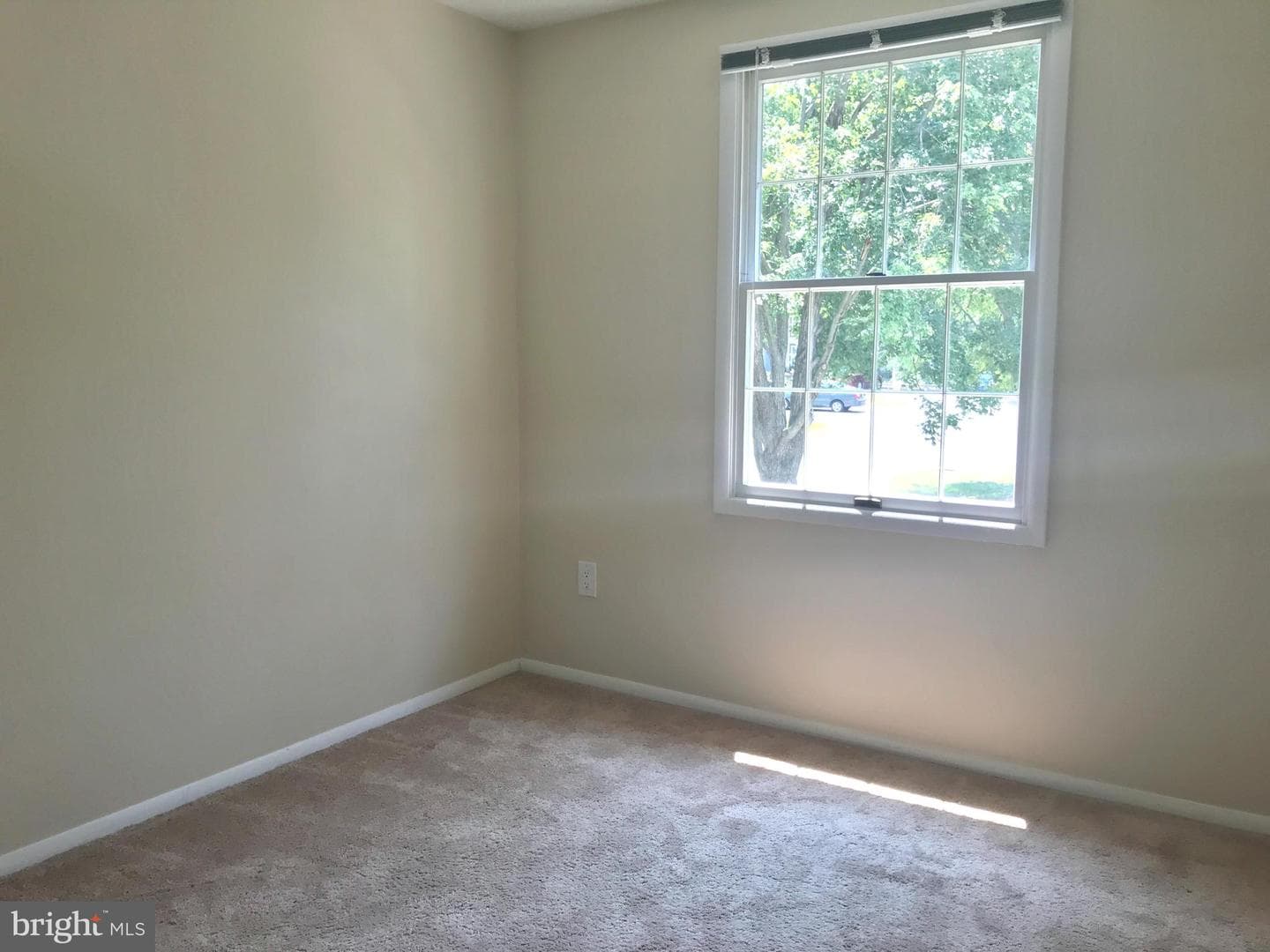 12144 Purple Sage Court photo 18