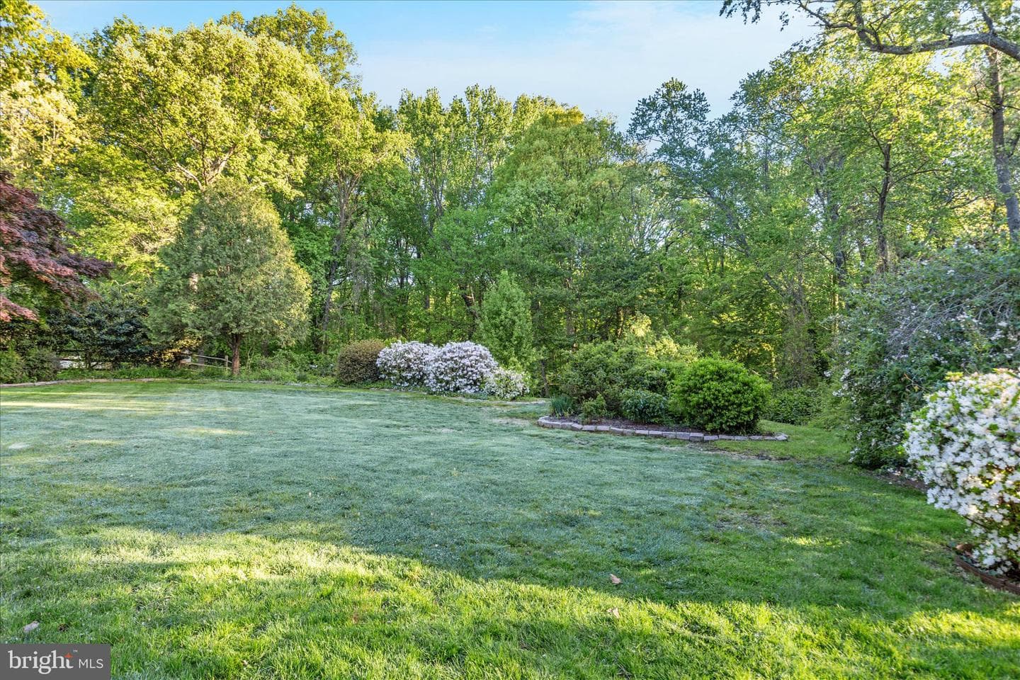 6546 Marlo Drive photo 48