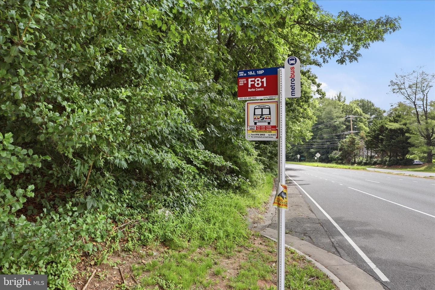 9032 Rosewall Court photo 47