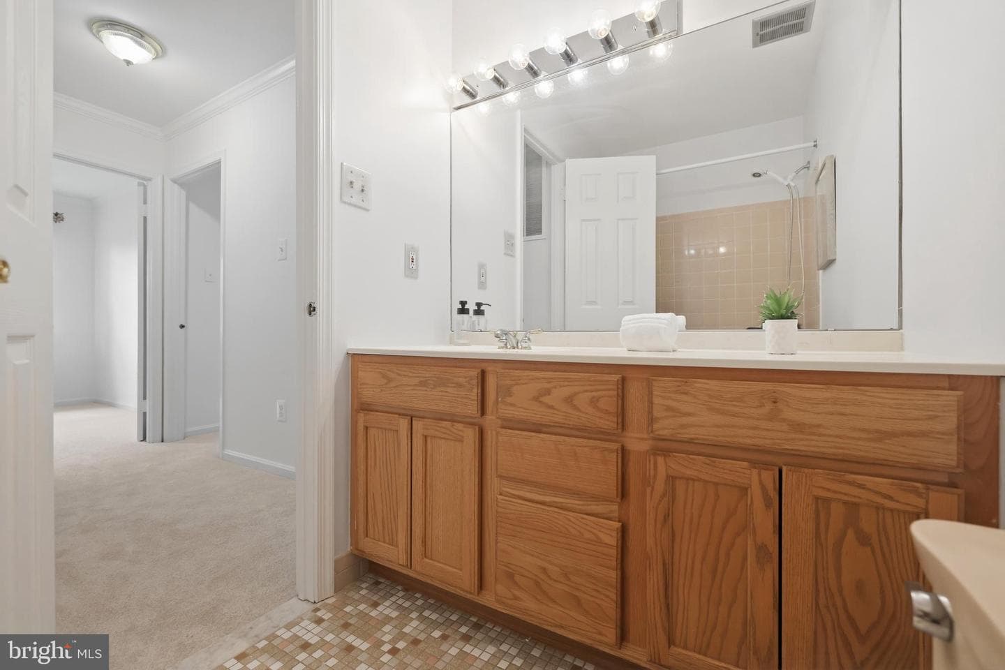 7211 Ashview Drive photo 32