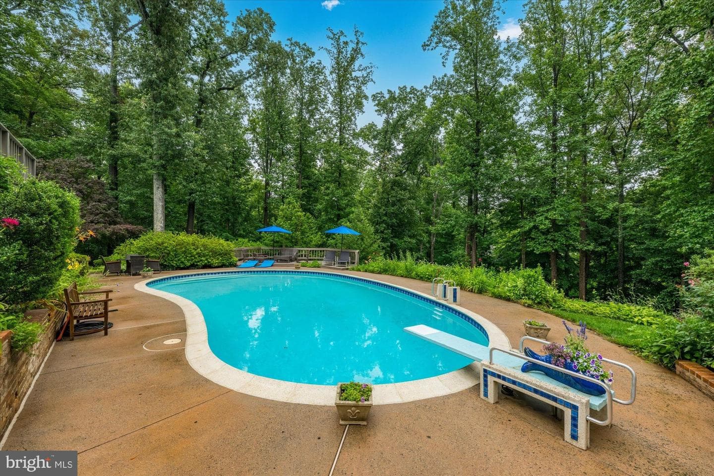 925 Woburn Court photo 49