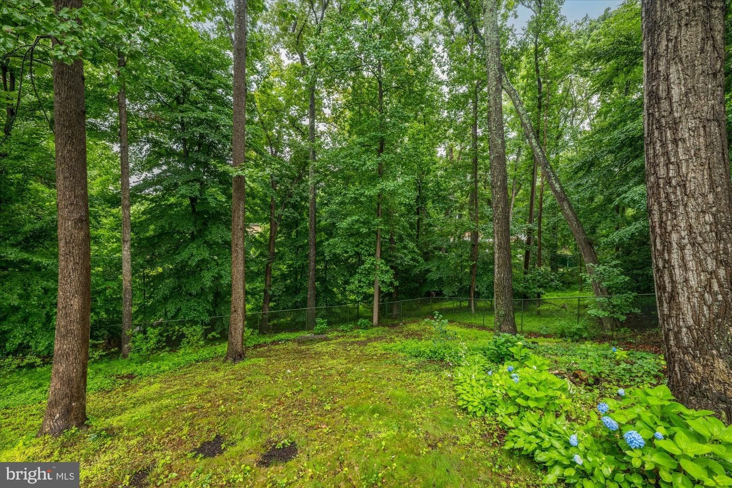 925 Woburn Court photo 54
