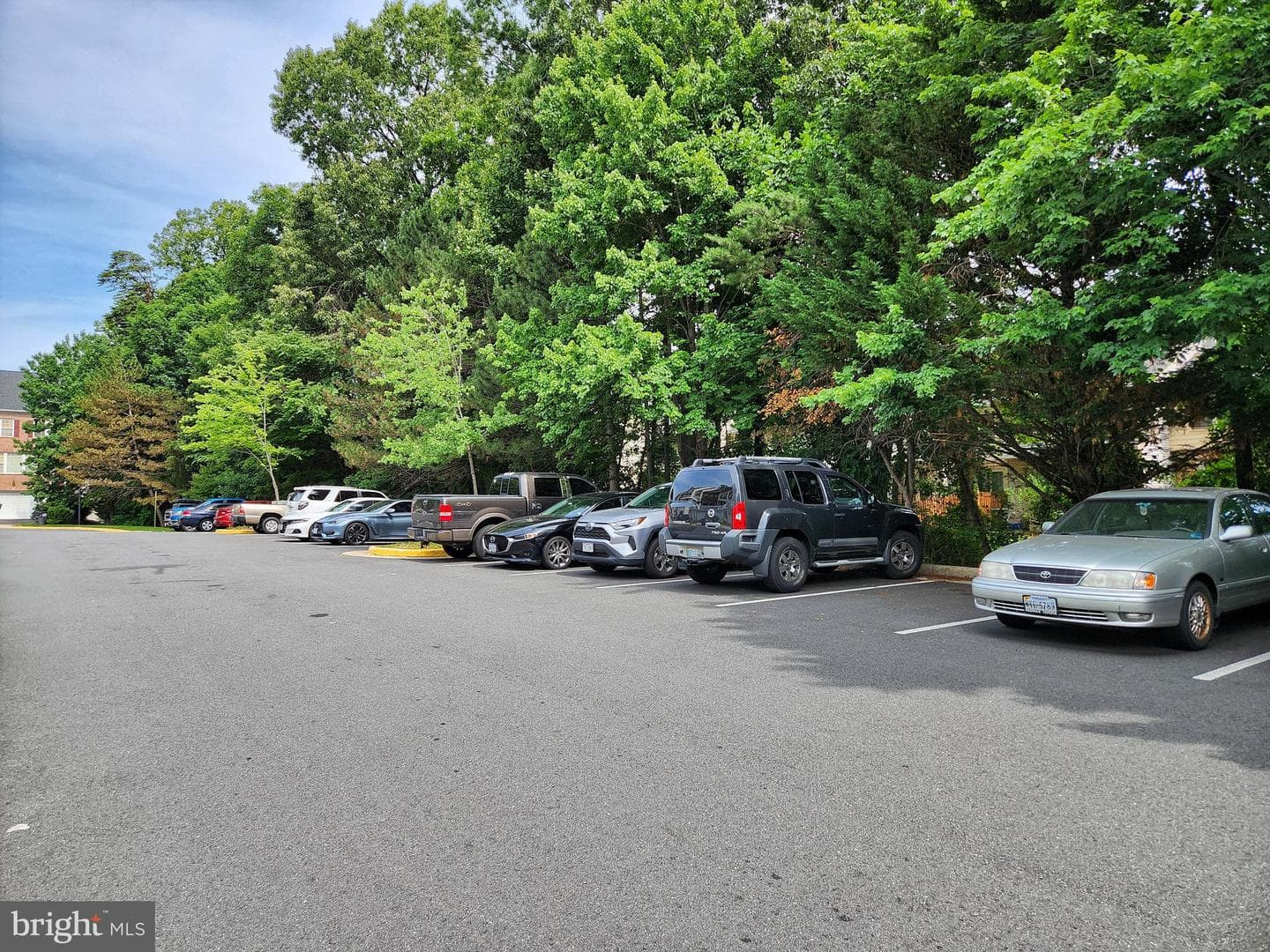 13906 Gothic Drive photo 53
