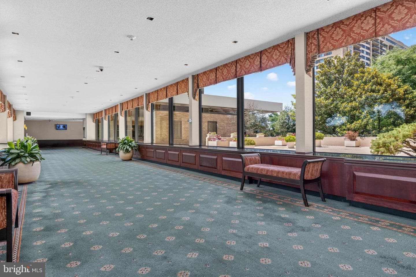 3701 S George Mason Drive #206n photo 29