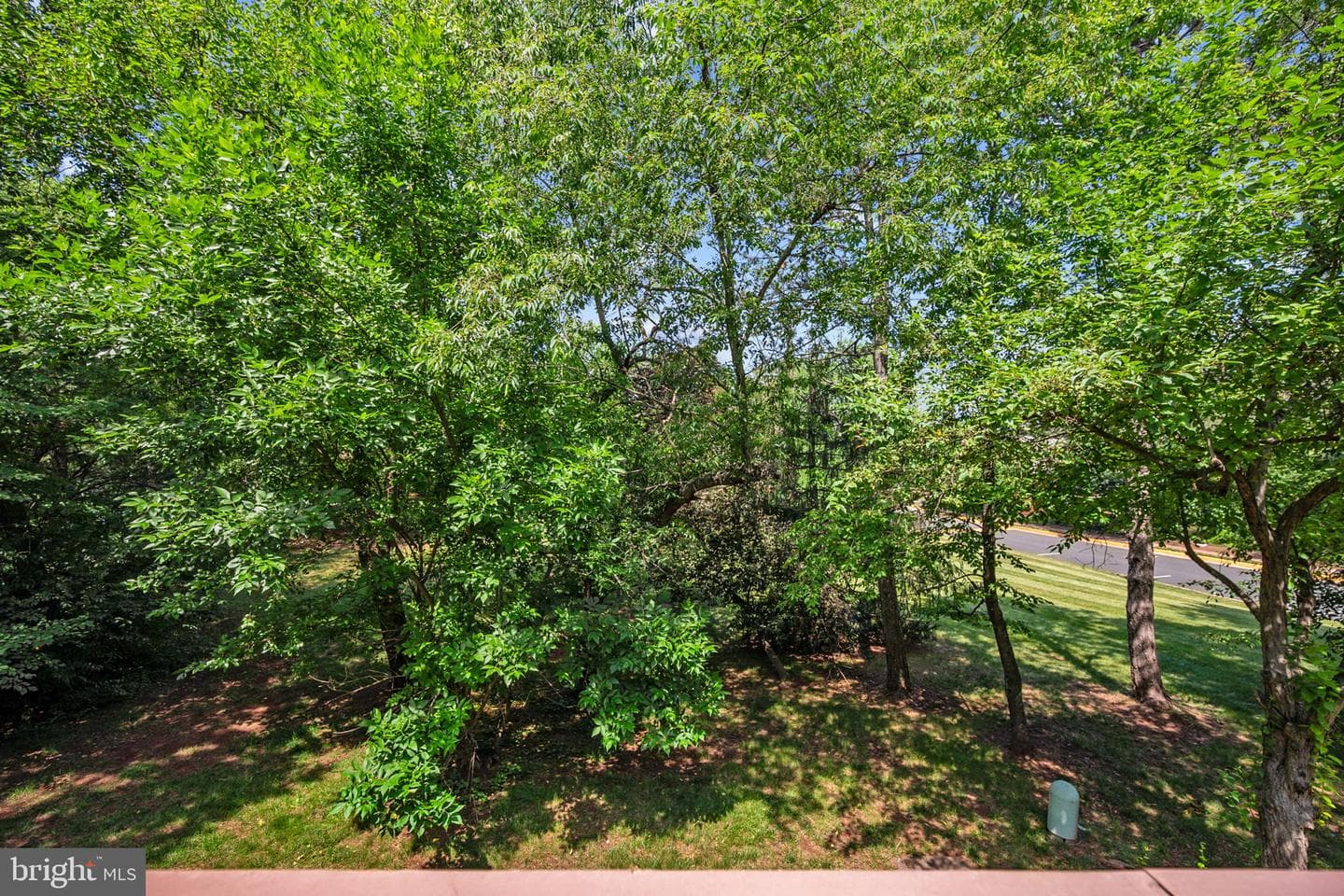 14519 Sully Lake Court photo 55