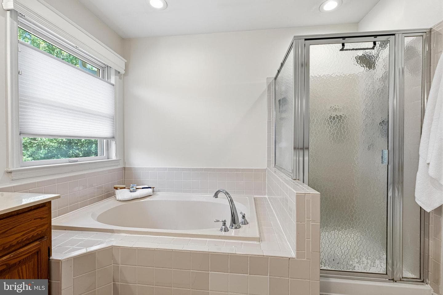 13425 Alfred Mill Court photo 30